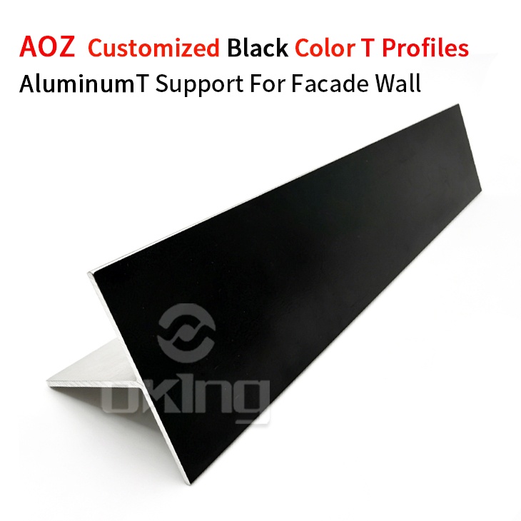 AOZ Customized Black Color T ProfilesAluminumT Support For Facade Wall